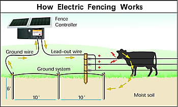 How an Electric Fence Works