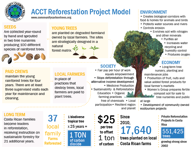 Reforestation Project Infographic
