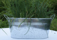 Galvanized Oval Tubs