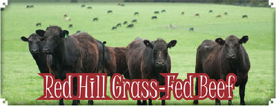 Red Hill Grass Fed Beef