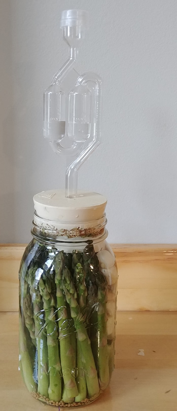 Fermented Asparagus