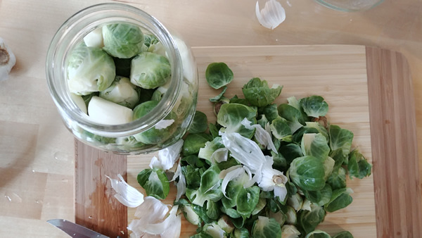 Fermented Brussel Sprouts