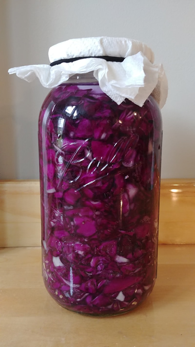 Make Your Own Sauerkraut