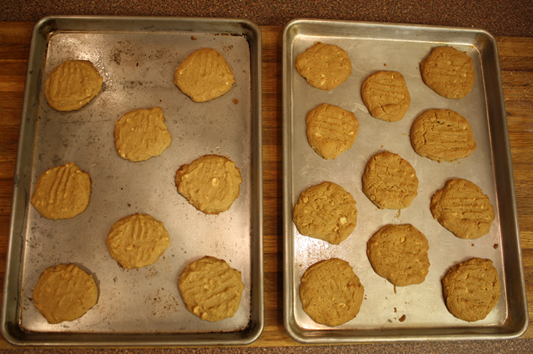 Peanut Butter Cookies