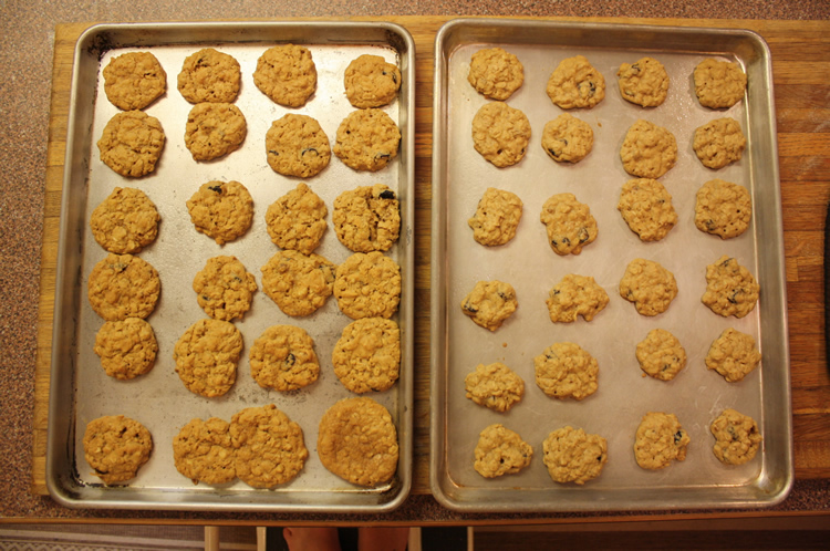 Easy Oatmeal Walnut Cookies