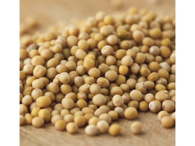 Van De Vries Mustard Seeds
