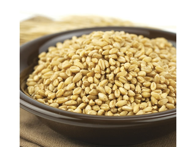 Soft White Wheat Kernels
