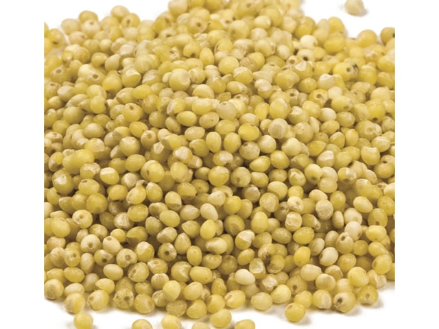 Food Grade Millet