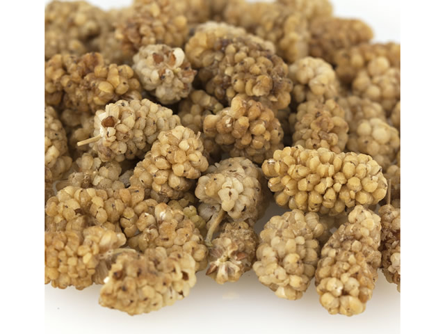 White Mulberries