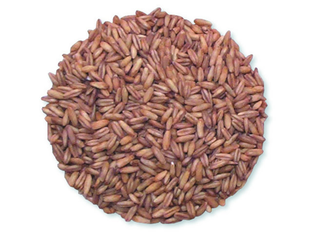 Whole Oat Groats