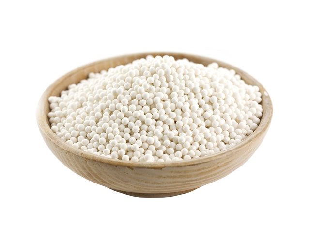 Seed Pearl Tapioca