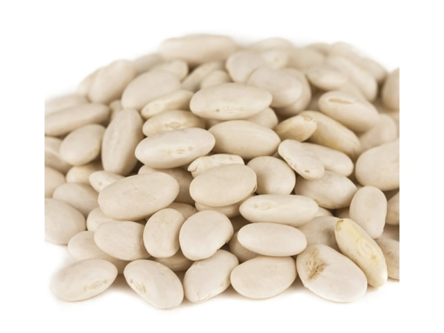 Great Northern Beans