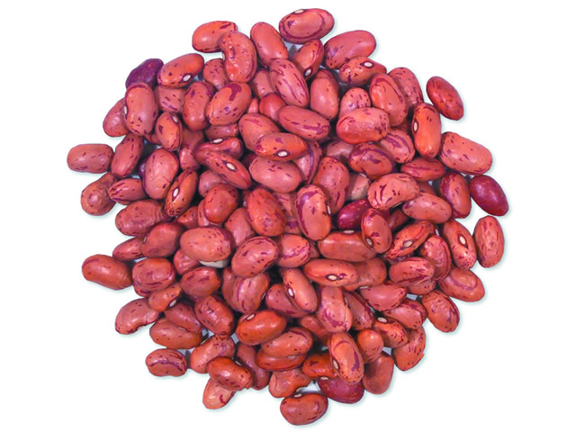 Cranberry Beans