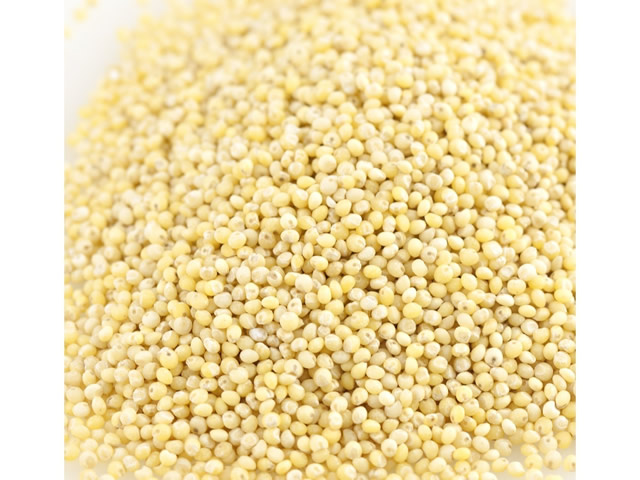 Organic Hulled Millet