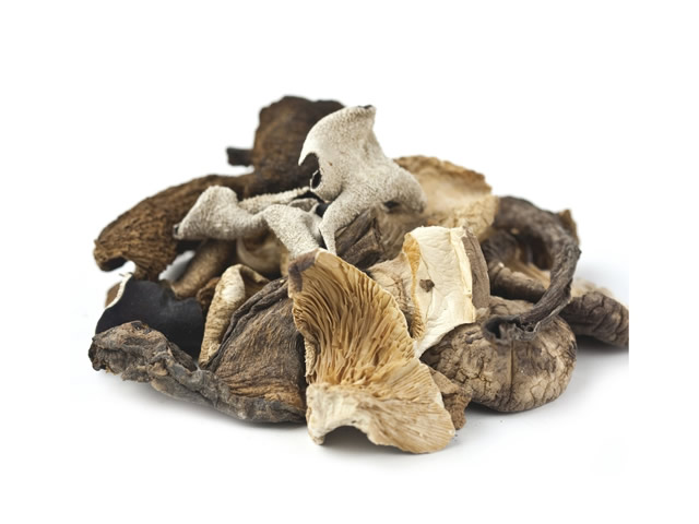 Forest Mushroom Blend