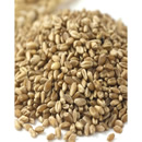 Organic Bronze Chief Kernels