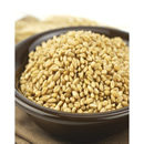 Soft White Wheat Kernels