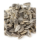 Roasted and Salted Sunflower Seeds in the Shell