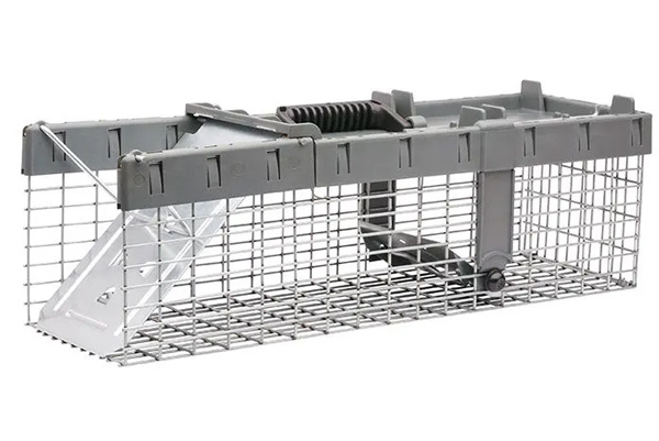Havahart 1026 Live Animal Trap | Red Hill General Store