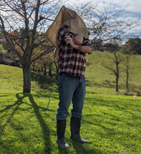 Adult demonstrating a traditional potato sack race using a large burlap sack
