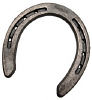 Diamond DS1B Special Plain Horseshoes