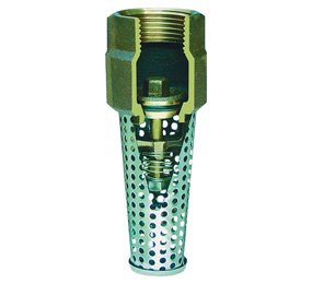 1 1/4 Inch Foot Valve