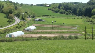 CCHS Greenhouse