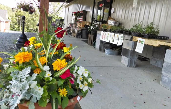 Red Hill General Store - Hillsville, VA. Retail Store