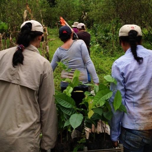 women-tree-planters