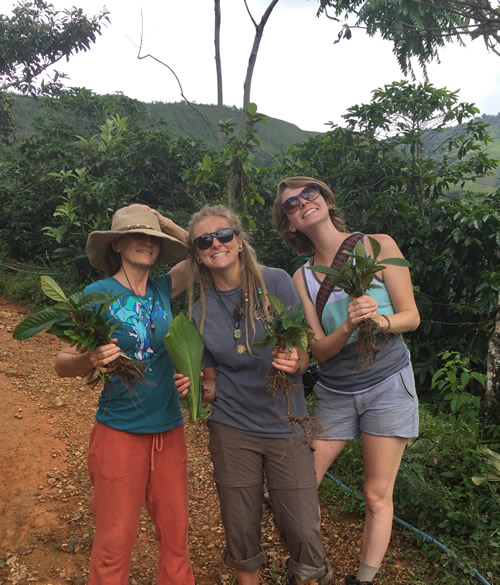 seed-collecting-for-reforestation