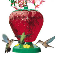 260 Strawberry Hummingbird Feeder