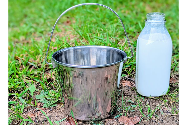 Stainless Steel Water Pail