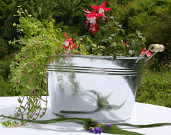 Galvanized Oval Tubs With Wood Handle