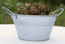 Mini Galvanized Round Tubs