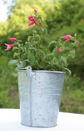 Galvanized Flower Buckets