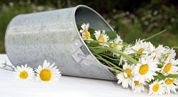 Galvanized Wall Pocket Pail