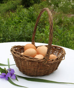 Small Dark Willow Basket