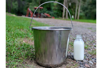 5 Gallon Stainless Steel Pail