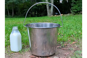 Stainless Steel Milk Pail