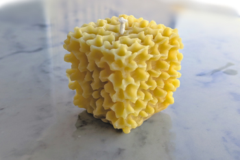Bee Square Beeswax Candle