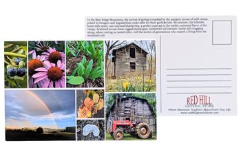 Rural Virginia Souvenirs Postcard
