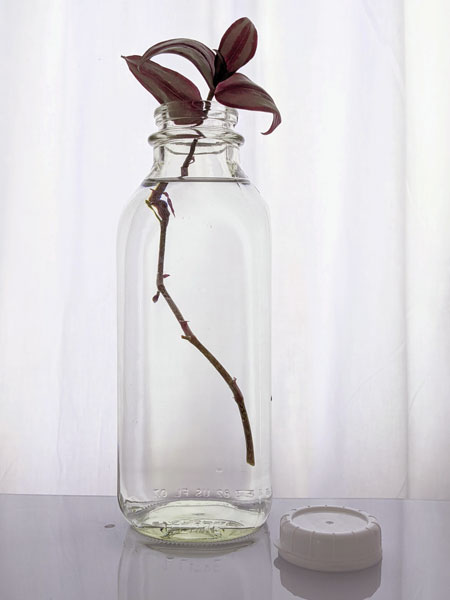 Liter Glass Milk Bottle