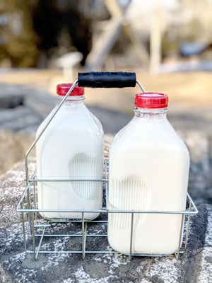 Large Four Milk Bottle Carrier