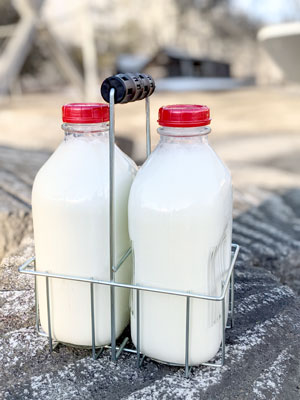 Large Two Milk Bottle Carrier