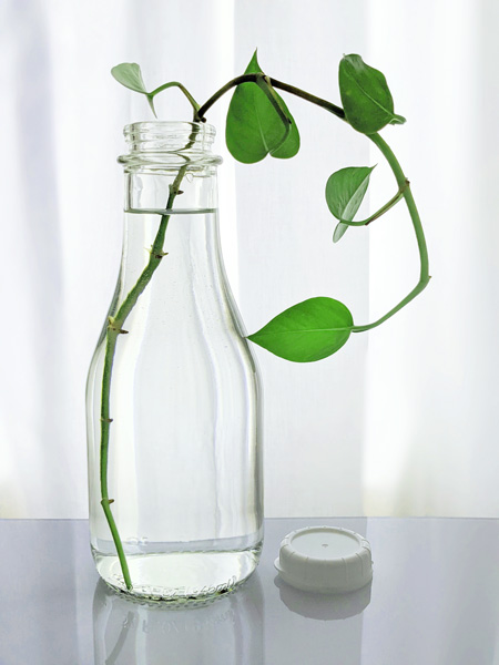 Quart Glass Milk Bottle