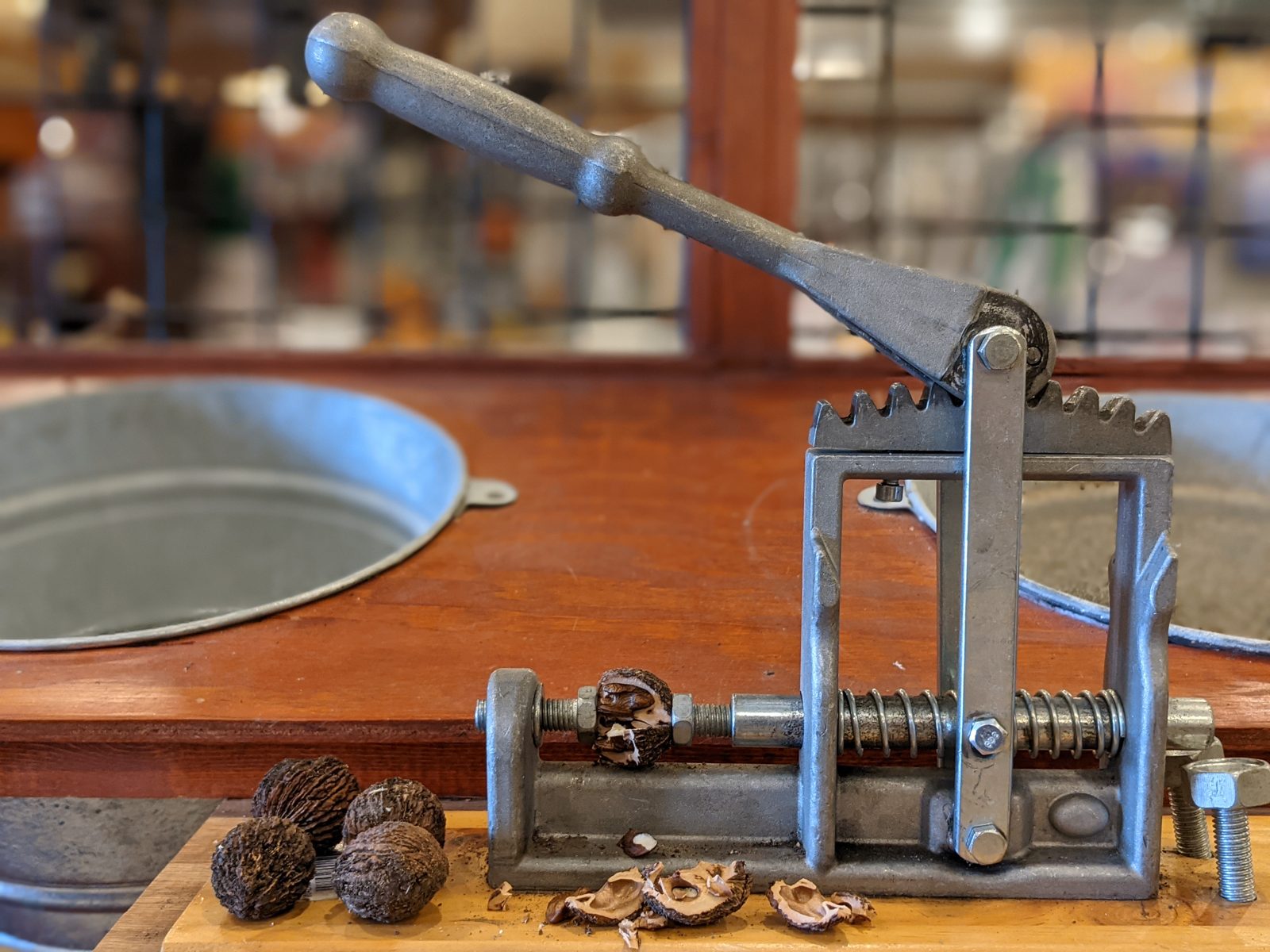 Black walnut cracker tool with dried black walnuts and cracked shells