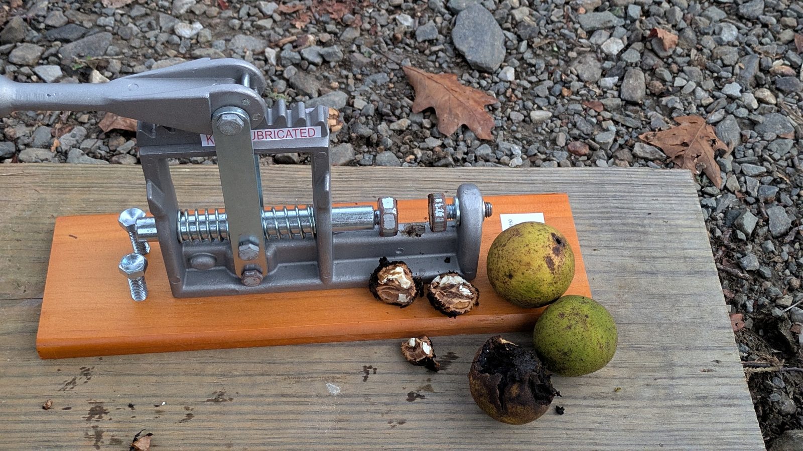 Black walnut cracker with freshly cracked walnuts and green husks