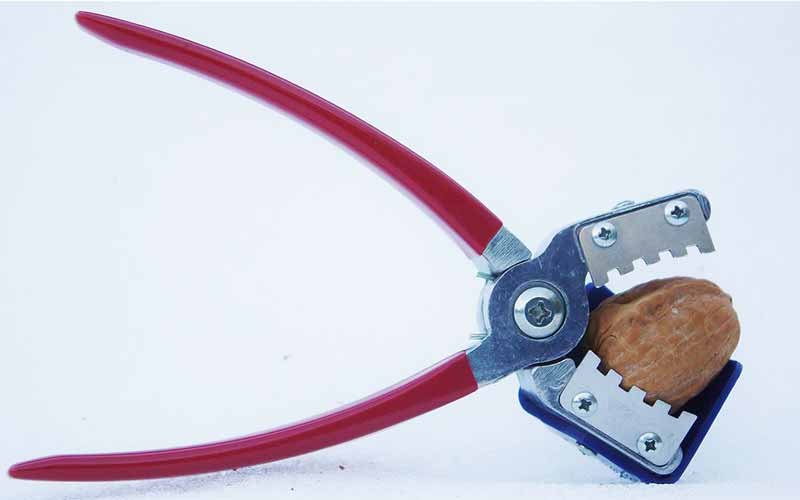 Texan Nut Sheller plier-style pecan cracker with toothed jaws