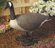 Lawn Ornaments