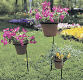 Flower Pot and Plant Stakes